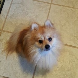 Meet your Posher, Janelle